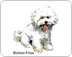 Bichon Frise Air Freshener